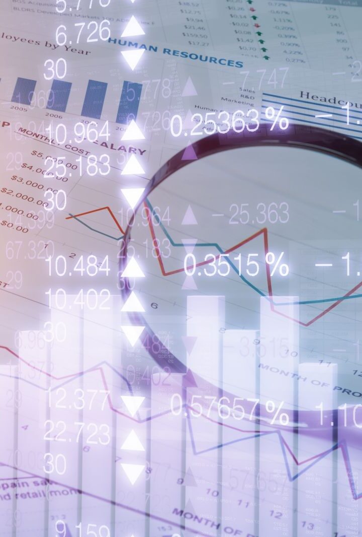 https://neting.hr/wp-content/uploads/2021/09/financijska-anailza-720x1066.jpg